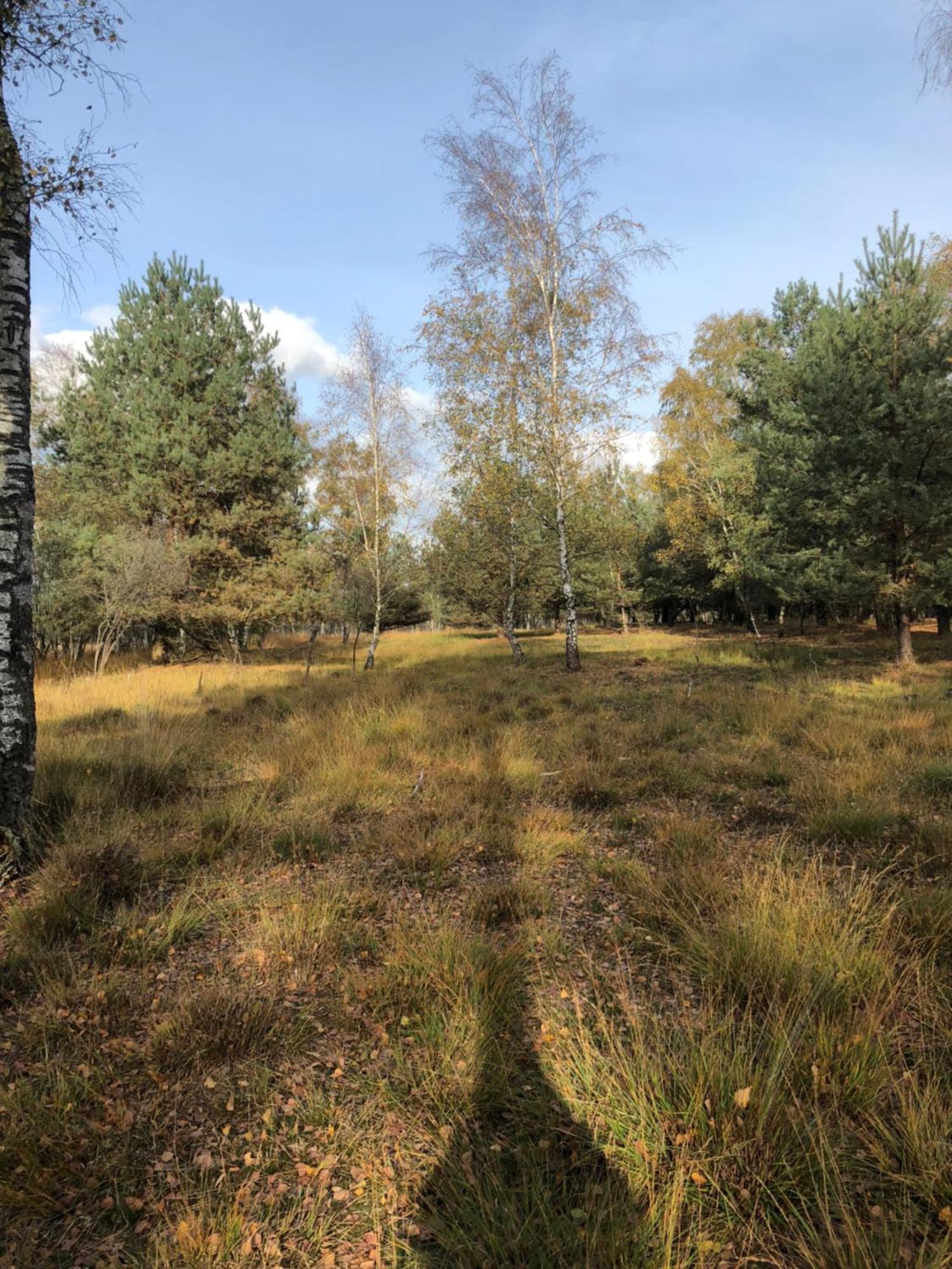 City Apparte Exklusiv - Direkt Am Antonius-Hospital - Stilvoll Wohnen Im Herzen Von Gronau Gronau  Extérieur photo